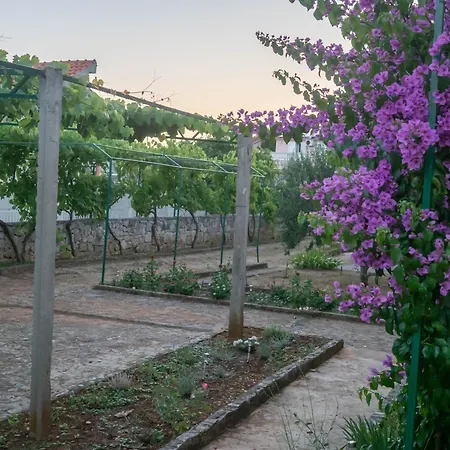 Zeravica Apartament Srima