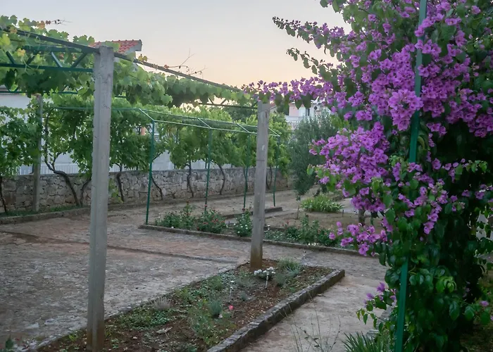 Zeravica Apartament Srima